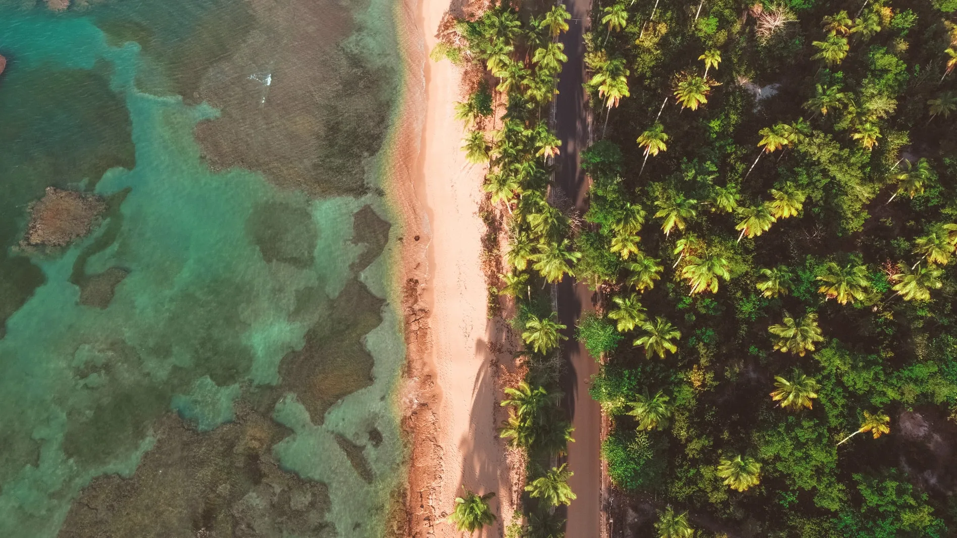 Playa Portillo from above: turquoise water, sand and palm trees in Las Terrenas